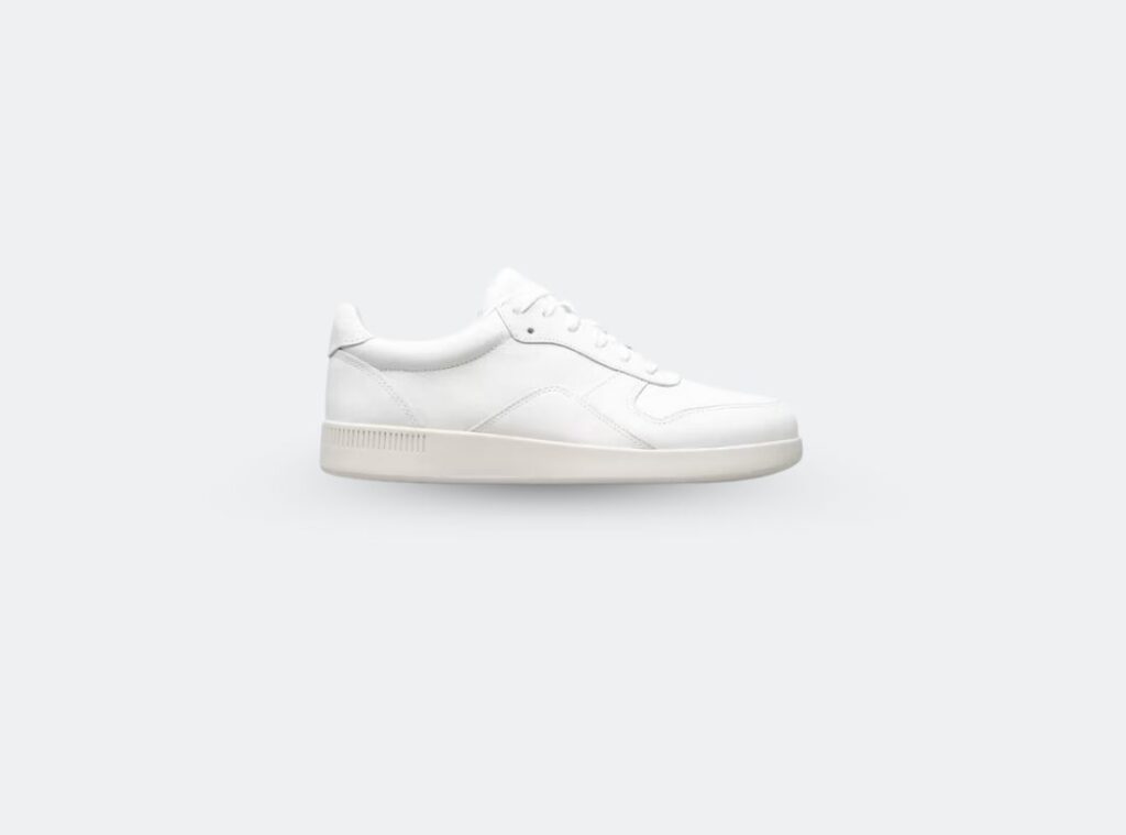 Everlane Court Sneakers